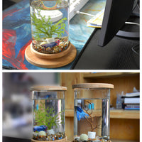 HKM-286483 Mini Glass Aquarium with Bamboo Base for Small Office Décor