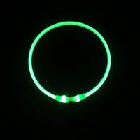 HKM-287507 Dog Luminous Collar USB Charging