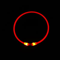 HKM-287507 Dog Luminous Collar USB Charging