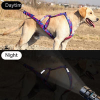 HKM-289299 Adjustable Dog Sled Chest Strap with Hand Holding Rope - Nylon Pet Traction Gear in Blue and Rose Red