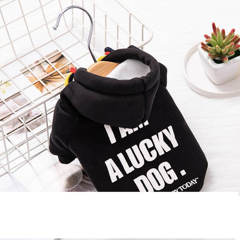 HKM-289363 Trendy English Style Sweater for Cats and Puppies - Warm Polyester Pet Clothing