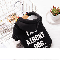 HKM-289363 Trendy English Style Sweater for Cats and Puppies - Warm Polyester Pet Clothing