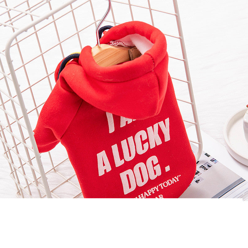 HKM-289363 Trendy English Style Sweater for Cats and Puppies - Warm Polyester Pet Clothing