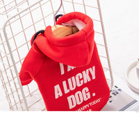 HKM-289363 Trendy English Style Sweater for Cats and Puppies - Warm Polyester Pet Clothing