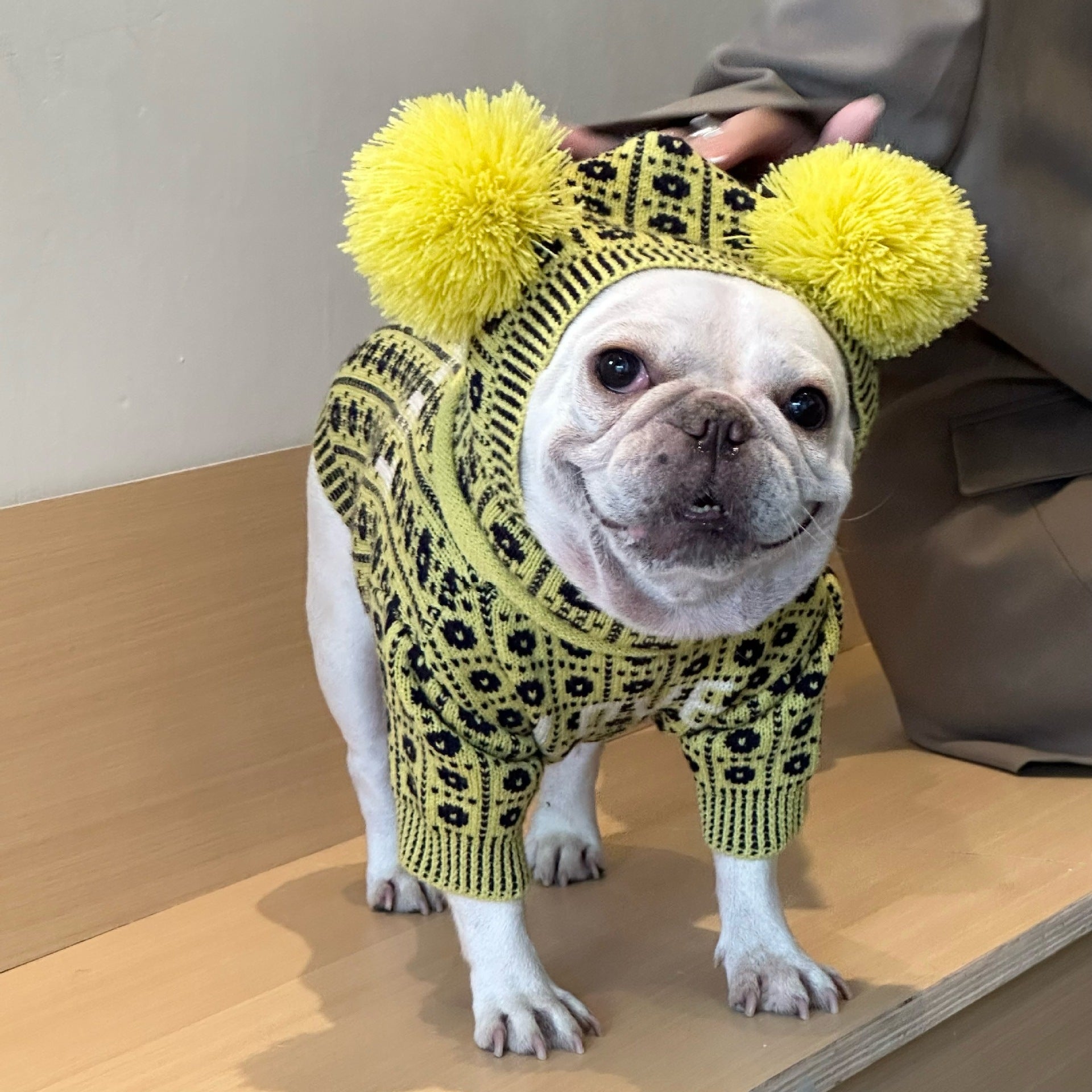 HKM-289683 Cozy Pet Winter Sweater with Matching Hat for Dogs and Cats