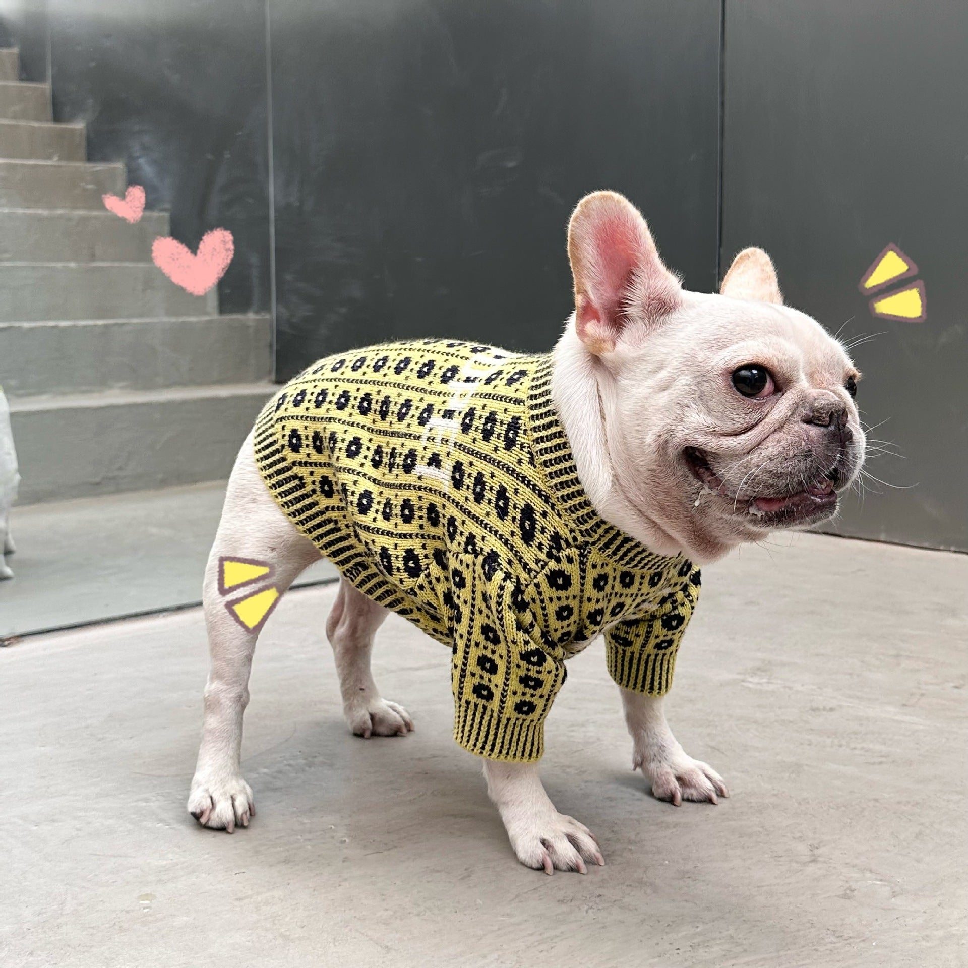 HKM-289683 Cozy Pet Winter Sweater with Matching Hat for Dogs and Cats