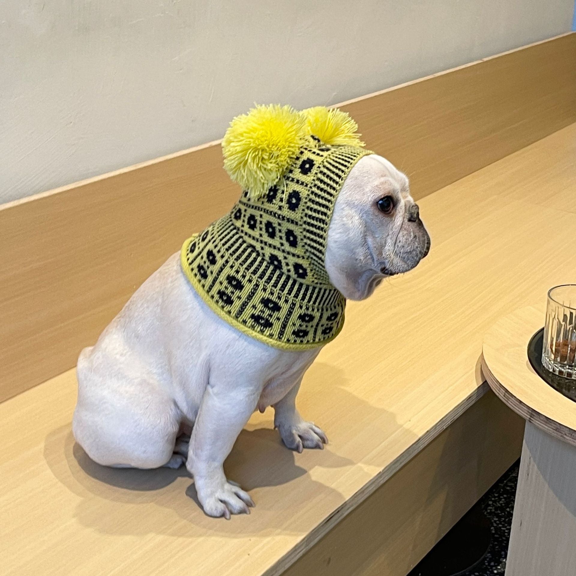 HKM-289683 Cozy Pet Winter Sweater with Matching Hat for Dogs and Cats