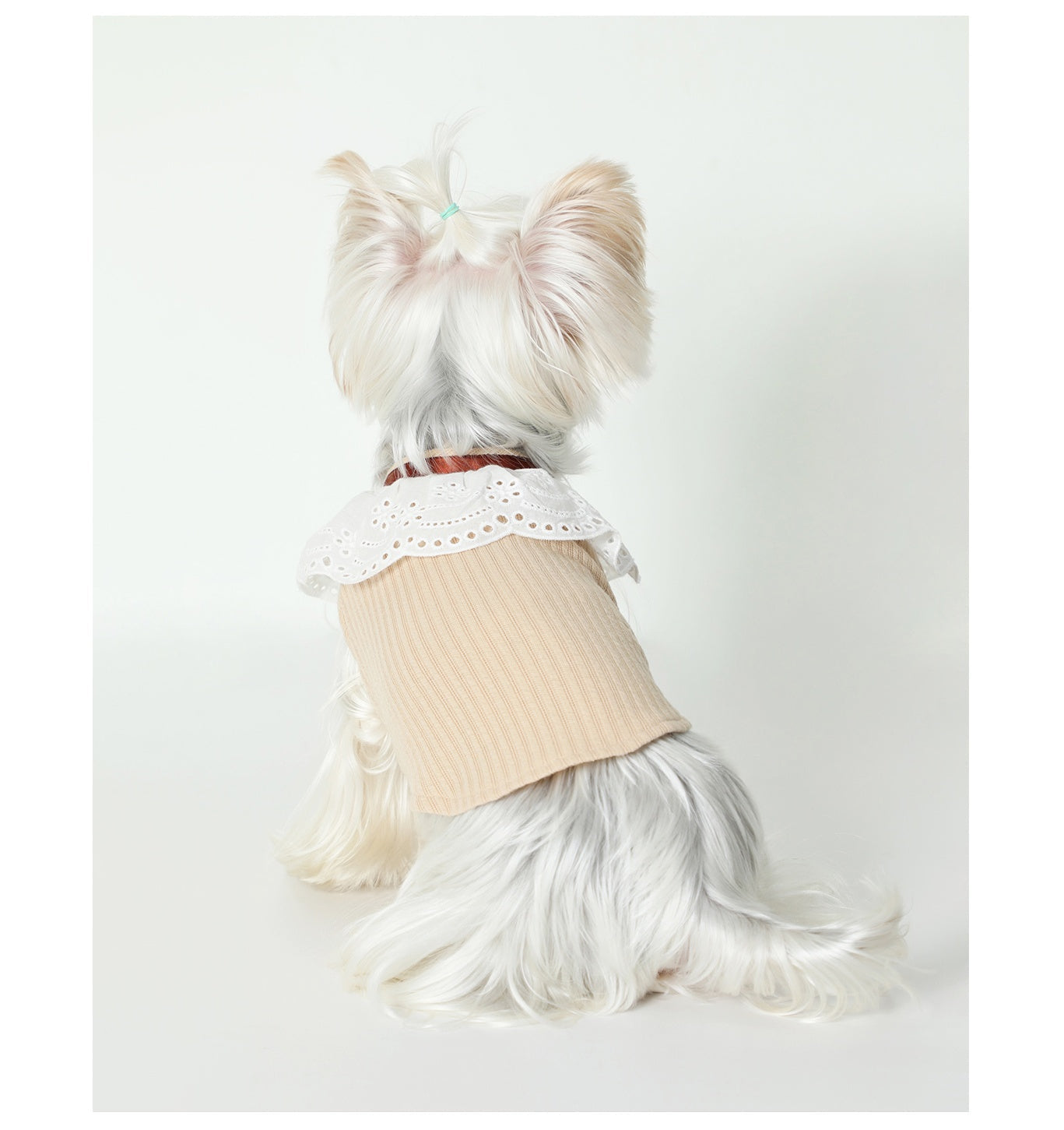 HKM-291859 Floral Neck Bow Pet Vest for Spring and Autumn, High Elastic Pit Knit Fabric, Available in Multiple Sizes