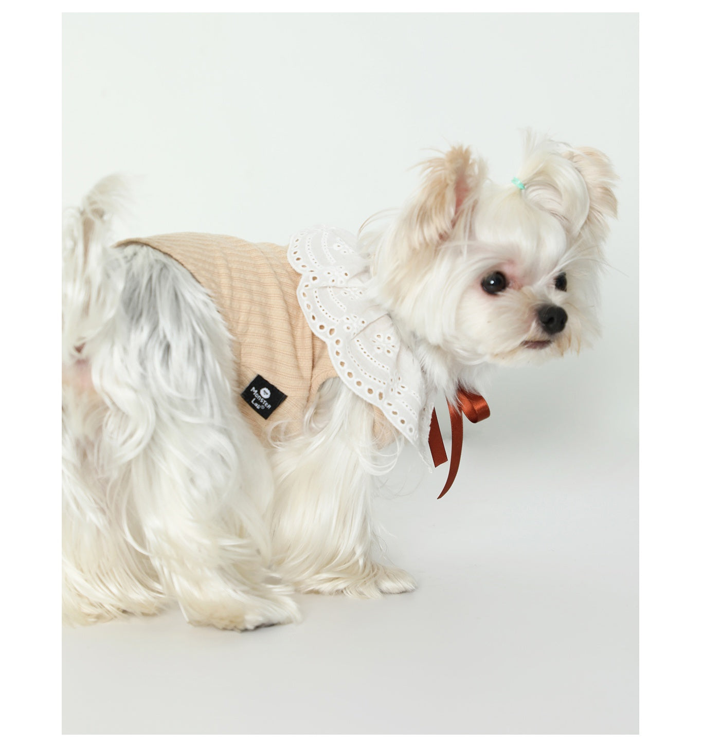 HKM-291859 Floral Neck Bow Pet Vest for Spring and Autumn, High Elastic Pit Knit Fabric, Available in Multiple Sizes