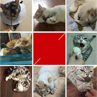 HKM-291859 Molar Clean Cat Catnip Stick Toy Silvervine Rod