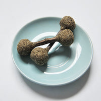 HKM-291859 Molar Clean Cat Catnip Stick Toy Silvervine Rod