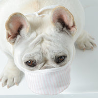 HKM-292755 Pet Face Mask with Three Layers of Non-Woven Fabric for Dogs (Pack of 3) – Long-Nosed and Short-Nosed Options Available
