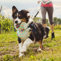 HKM-295379 GPS Pet Positioning Collar - LED Light, 500 mAh Battery, Durable Material