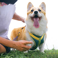 HKM-296211 Colourful Cloth Harness & Leash Set for Dogs - Adjustable Sizes XS to XL