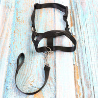 HKM-296787 Adjustable Black Anti-Bite Mask for Dogs - Traction Suit Mouth Cover in Various Sizes