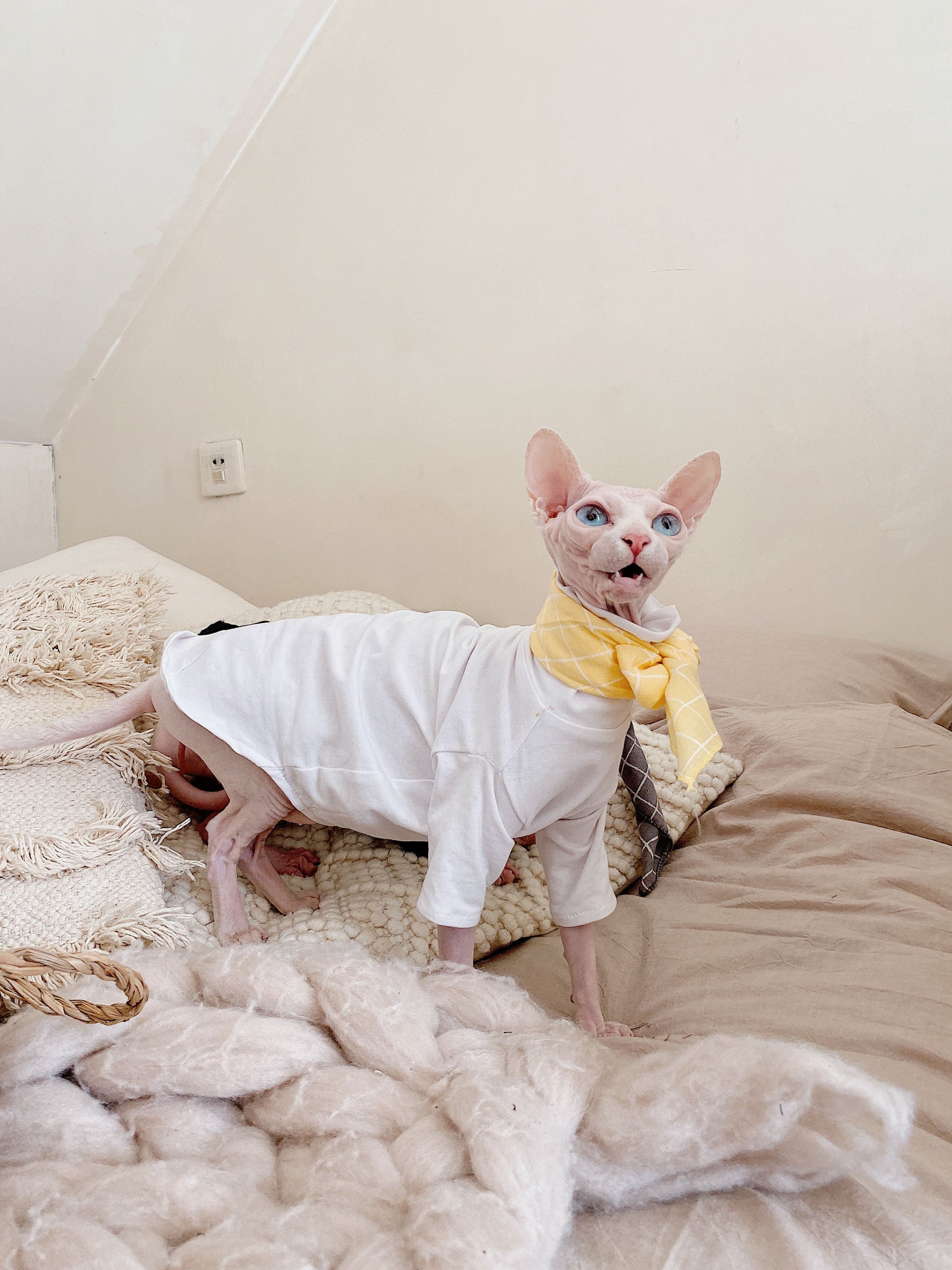 HKM-298131 Casual Hypoallergenic Cotton T-Shirt for Hairless Cats in Black and White
