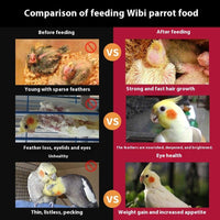 HKM-301715 Mixed Grain Bird Food with Shell for Small and Medium Parrots - 500g