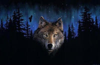 HKM-302611 Custom Modern Digital Oil Painting on Linen - Frameless Hand-Painted Artwork