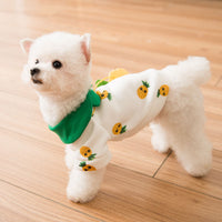 HKM-305171 Pineapple Backpack Sweater for Dogs - Cute & Breathable Milk Silk Design