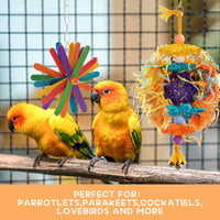 HKM-306003 5-Piece Wooden Parrot Toys Set for Chewing and Play
