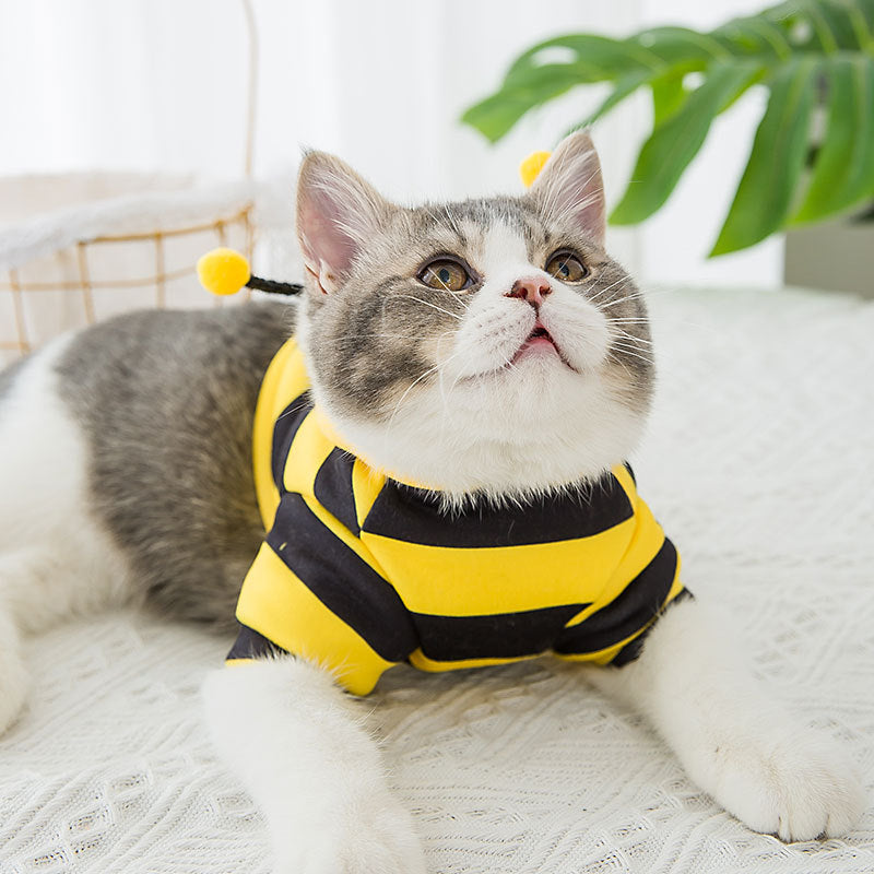HKM-306643 Cute Yellow Hoodie for Pets Made from Shredded Milk Material - Sizes XS to XXL