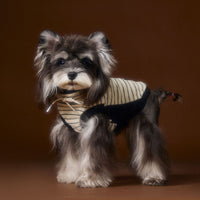 HKM-307859 Striped Sleeveless Sweater for Pets in Black, Coffee, and Beige - Casual Cotton Lining, Multiple Sizes Available