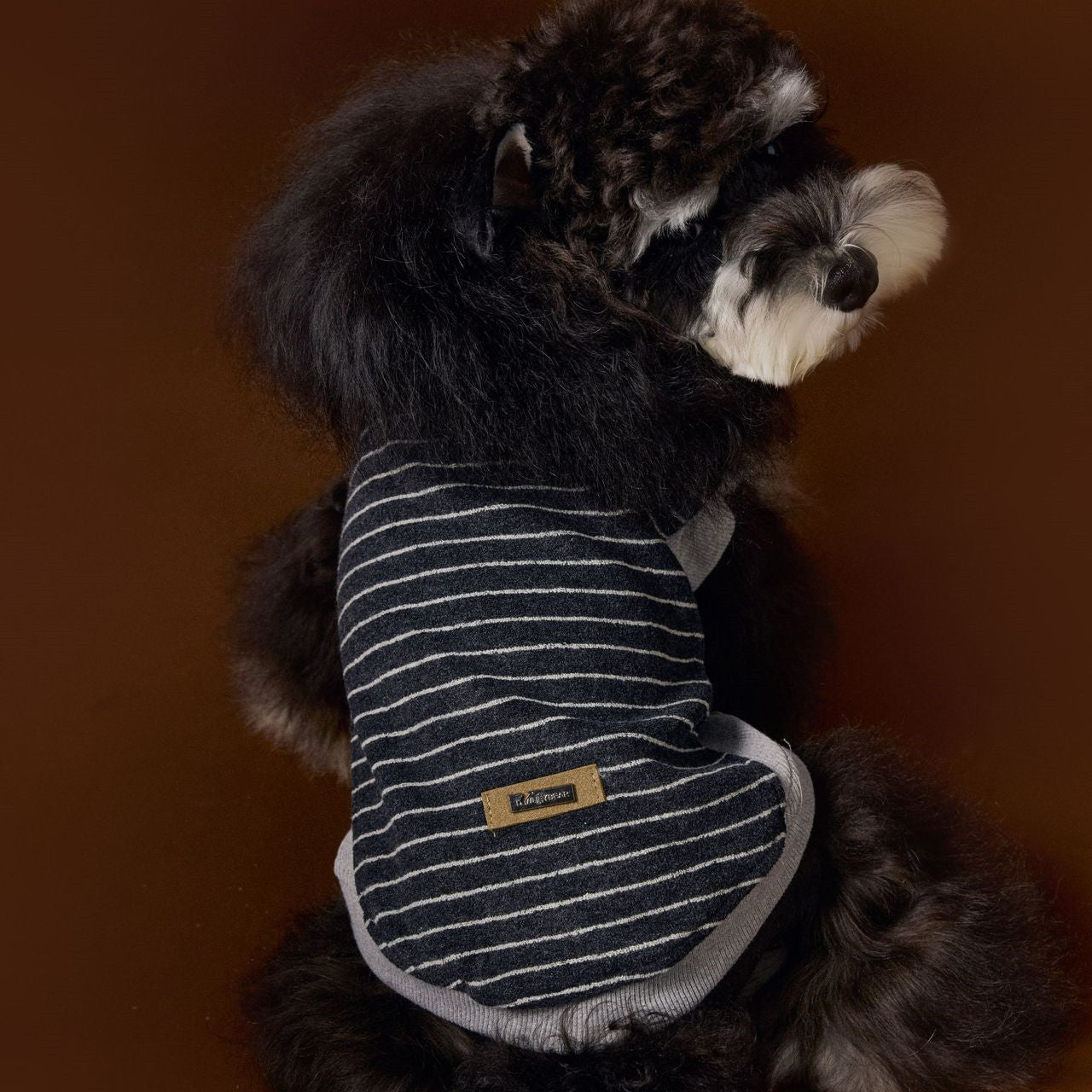 HKM-307859 Striped Sleeveless Sweater for Pets in Black, Coffee, and Beige - Casual Cotton Lining, Multiple Sizes Available
