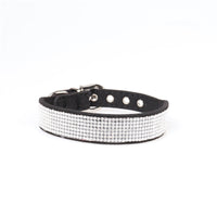 HKM-309075 Aming New Dog Collar