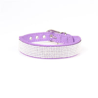 HKM-309075 Aming New Dog Collar