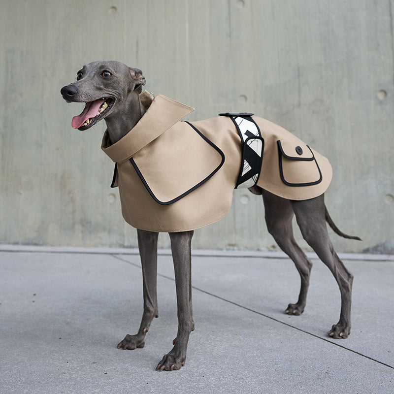 HKM-313491 Stylish Camel Velcro Windbreaker for Small to Large Dogs in Cotton Blend
