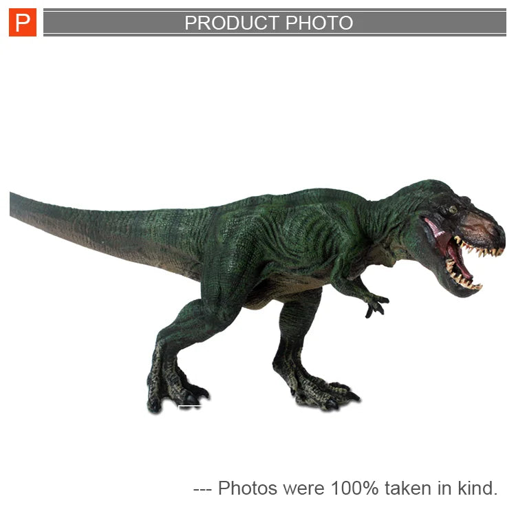 HKM-315923 Lifelike Plastic Dinosaur Toy Set for Kids Aged 5-13 Years, 12 Piece Collection