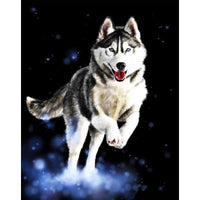 HKM-316051 Huskie Themed Canvas Art for Home or Office Decor