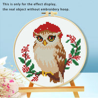 HKM-316115 Mushroom Embroidery DIY Kit with Various Cartoon Designs and Complete Accessories