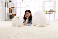 HKM-317651 Cute Persian Cat Plush Stuffed Animal - Soft Cotton, 30/50cm, Unisex, Great for Ages 3+