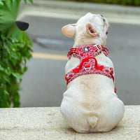 HKM-317779 Floral Pattern Dog Chest Strap with Reflective Nylon and Aluminum Alloy Buckle