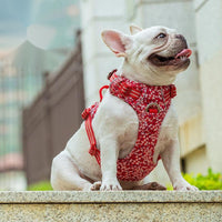 HKM-317779 Floral Pattern Dog Chest Strap with Reflective Nylon and Aluminum Alloy Buckle