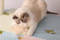 HKM-317907 Feather Cat Teaser Stick Set - Flexible, Bite-Resistant Cat Toys in Pink, Blue, Grey