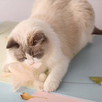 HKM-317907 Feather Cat Teaser Stick Set - Flexible, Bite-Resistant Cat Toys in Pink, Blue, Grey