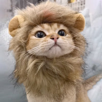 HKM-318419 Funny Pet Headdress – Lion and Rabbit Designs in Monochrome – Polyester Material – Available in Various Sizes