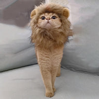 HKM-318419 Funny Pet Headdress – Lion and Rabbit Designs in Monochrome – Polyester Material – Available in Various Sizes