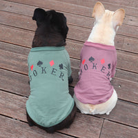 HKM-318995 Schnauzer Teddy Dog Sweatshirt in Pure Cotton for Small Dogs and Cats