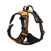 HKM-320915 TrueLove Adjustable Large Dog Harness with Breathable Mesh and Reflective Strip