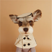 HKM-321683 Khaki Monochrome British Style Dog Collar - Durable Cloth Material
