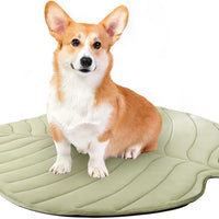 HKM-323987 Ginkgo Leaf Summer Cat Ice Pad Pet Floor Mat - Lightweight and Soft in Light Blue and Green