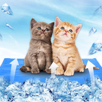HKM-326867 Washable gel pet cooling pad( only available in Thailand warehouse)