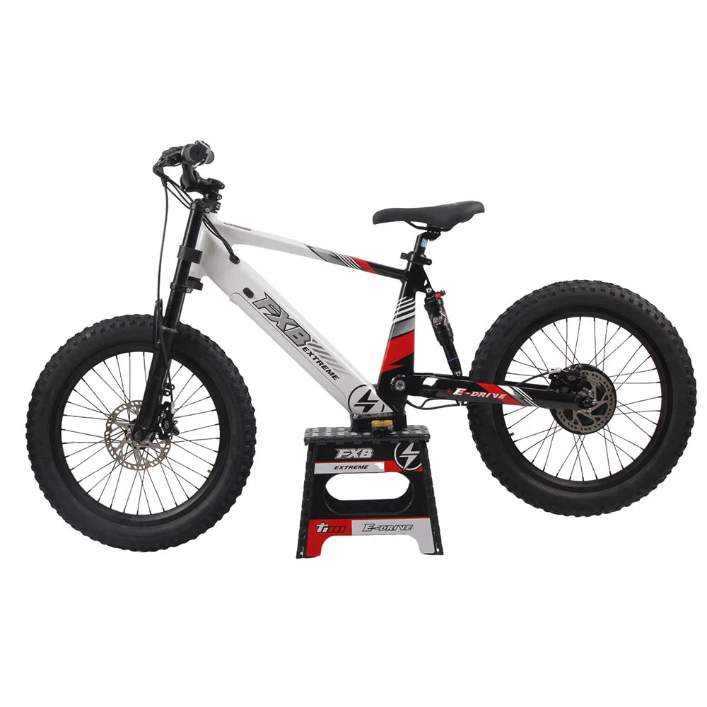 KTX-327891 20-Inch Electric Balance Bike for Teenagers with 36V Brushless Motor and Off-Road KENDA Tires