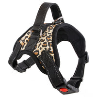 HKM-328467 Nylon Dog Collar for Medium and Large Breeds - Black, Red, Camouflage, Leopard Print Options