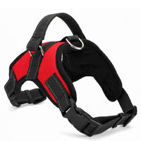 HKM-328467 Nylon Dog Collar for Medium and Large Breeds - Black, Red, Camouflage, Leopard Print Options