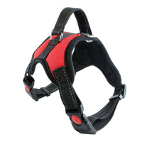 HKM-328467 Nylon Dog Collar for Medium and Large Breeds - Black, Red, Camouflage, Leopard Print Options