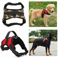 HKM-328467 Nylon Dog Collar for Medium and Large Breeds - Black, Red, Camouflage, Leopard Print Options